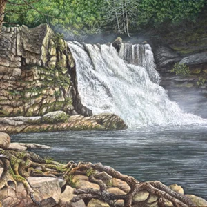 Abrams Falls: A painting by C.F. Lawrenson