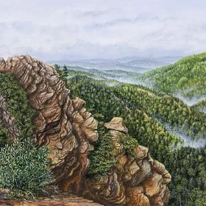 After the Rain - a painting by C.F. Lawrenson