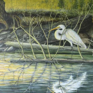 Painting of a White Egret entitled: A Question of Balance by C.F. Lawrenson
