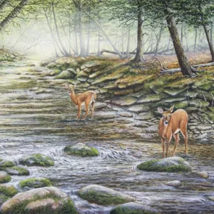 Painting of two deer entitled "Asaph Morn" by C.F Lawrenson