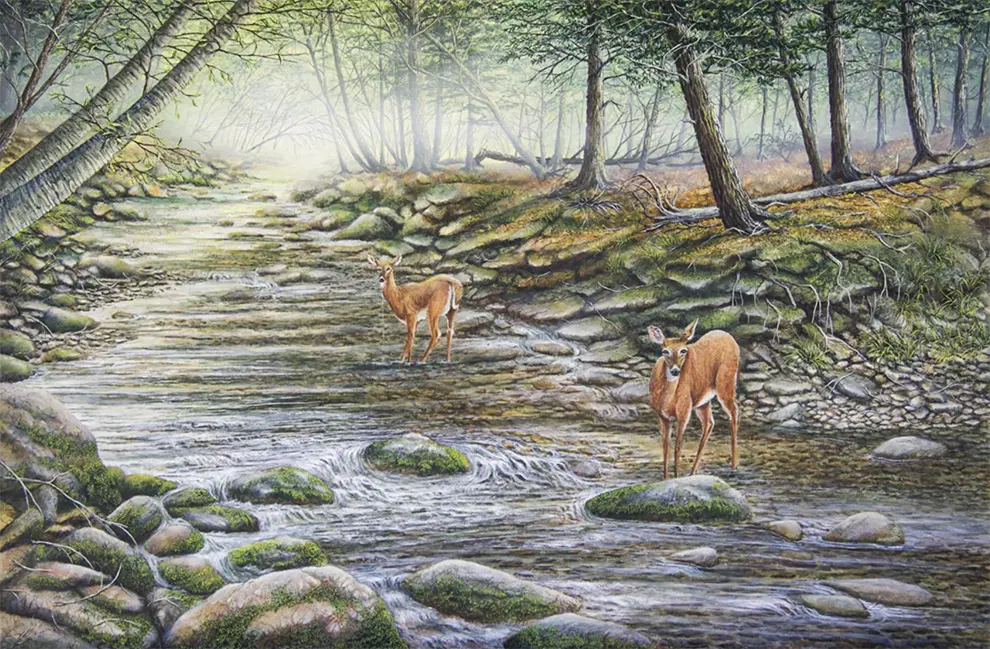 Painting of two deer entitled "Asaph Morn" by C.F Lawrenson