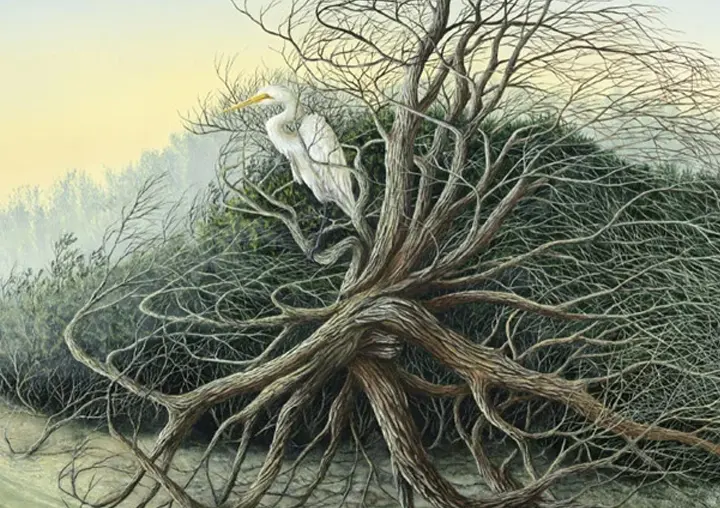 Painting of a White Egret by C.F. Lawrenson entitled: Beach Bum