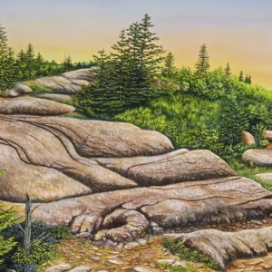 The Granite Stream: A Painting by C.F. Lawrenson