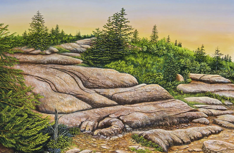 The Granite Stream The Granite Stream: A Painting by C.F. Lawrenson