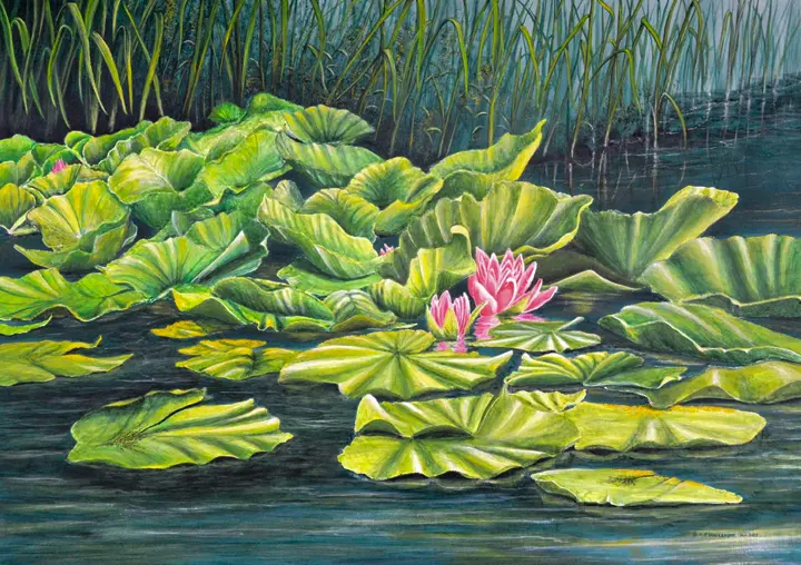 Lillies of the Isle: A painting by C.F. Lawrenson