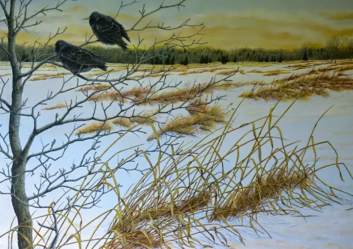 March Starlings: A Painting by C.F. Lawrenson
