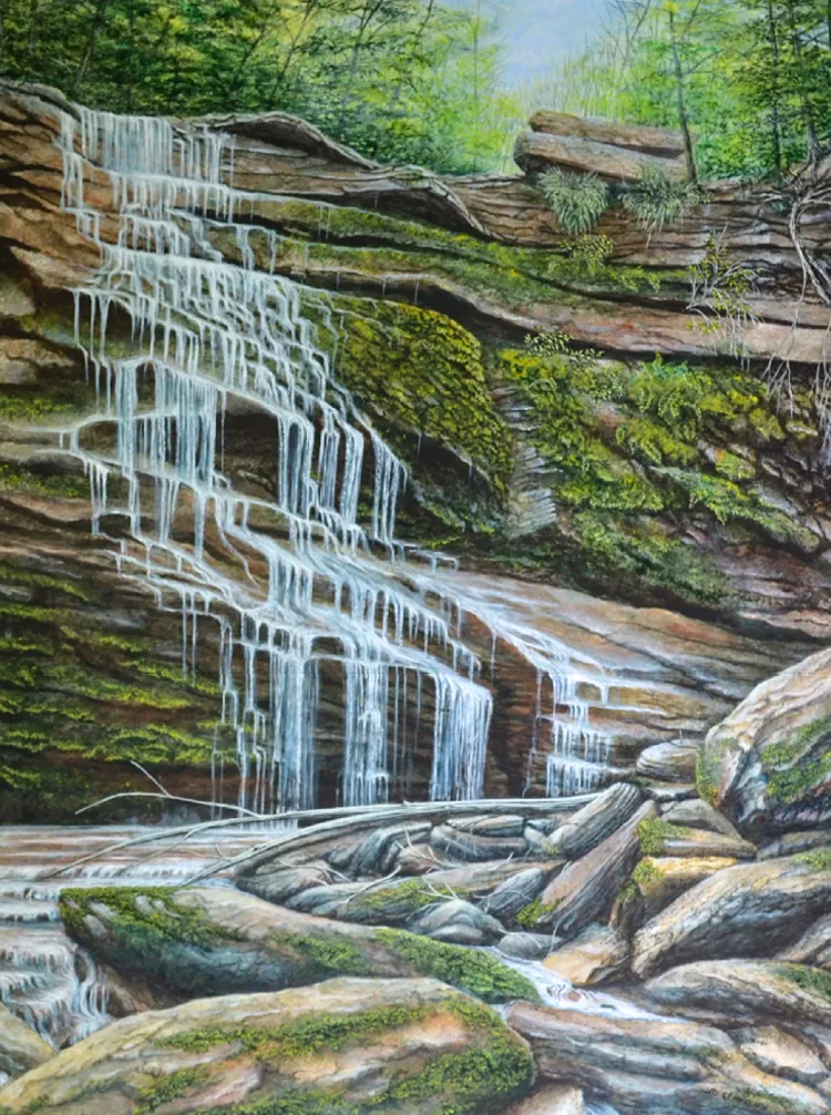 Northern Rainforest Northern Rainforest a painting by C.F. Lawrenson