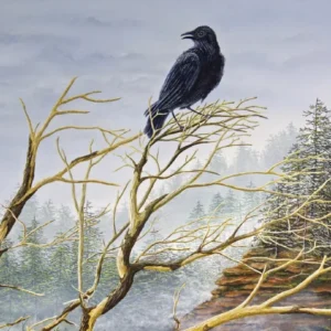 Painting of an American crow entitled: Ode to Oscar by C.F. Lawrenson