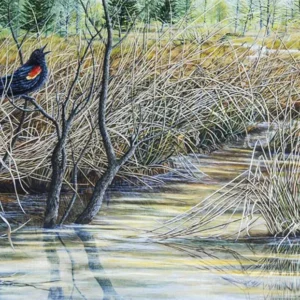 Staking A Claim: A painting by C.F.Lawrenson