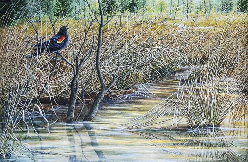 Staking A Claim: A painting by C.F.Lawrenson