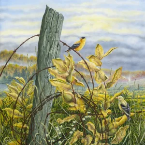 Painting of Gold Finch entitled: Unfinished Business - by artist, C.F. Lawrenson