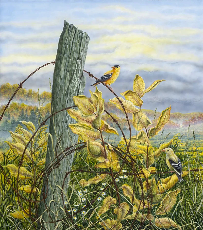 Unfinished Business Painting of Gold Finch entitled: Unfinished Business - by artist, C.F. Lawrenson