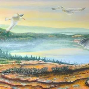 Window Into Acadia: Painting by C.F. Lawrenson