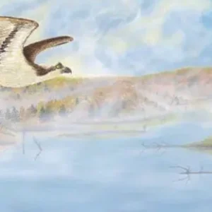 Autumn Lift Off: A painting by C.F. Lawrenson