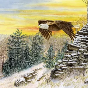 Painting of a Bald Eagle entitle: Dawn of New Freedom by C.F. Lawrenson