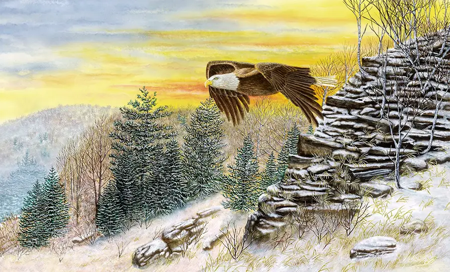 Painting of a Bald Eagle entitle: Dawn of New Freedom by C.F. Lawrenson