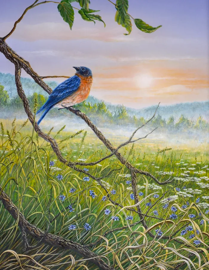 Fealther & Lace Origins: Painting by C.F. Lawrenson