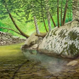 Hidden Cove - A painting by C.F. Lawrenson