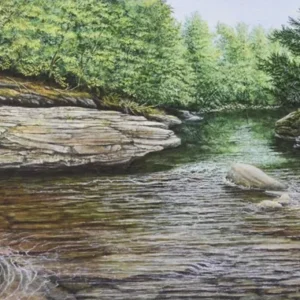 The Laughing Place: A painting by C.F. Lawrenson