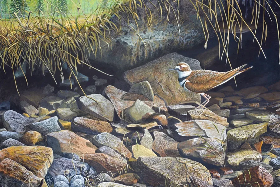 The Nervous Eye - A Paining by C.F. Lawrenson