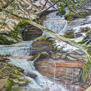 Origins: Painting by C.F. Lawrenson