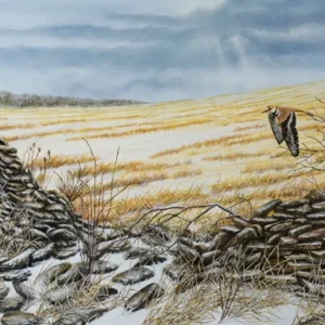 Remnant & Renewal: A painting by C.F. Lawrenson