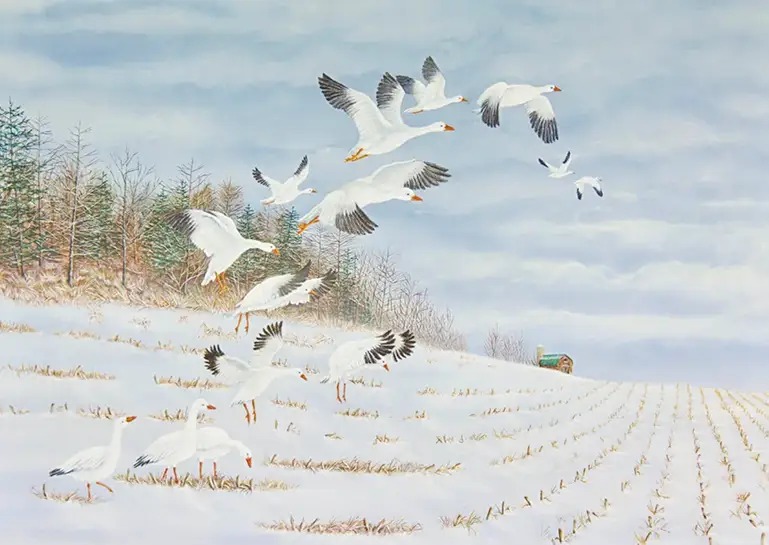 Spring Gleaning Spring Gleaning: A painting by C.F. Lawrenson