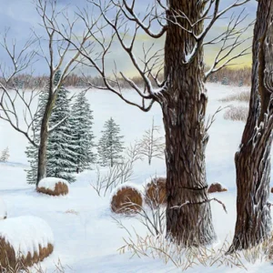 The Beauty of Imperfection: A Painting by C.F. Lawrenson