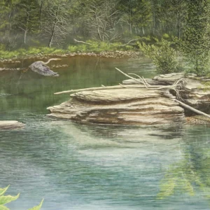 The Rocks Live Forever: A painting by C.F. Lawrenson