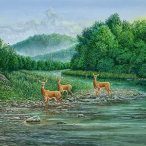 Ladies of Pebble Beach: A painting of deer by C.F. Lawrenson
