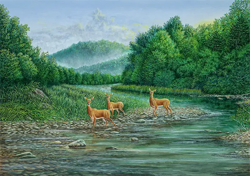 Ladies of Pebble Beach: A painting of deer by C.F. Lawrenson